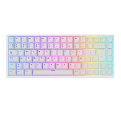 RK ROYAL TECLADO RK84 WHITE BROWN SWITCH