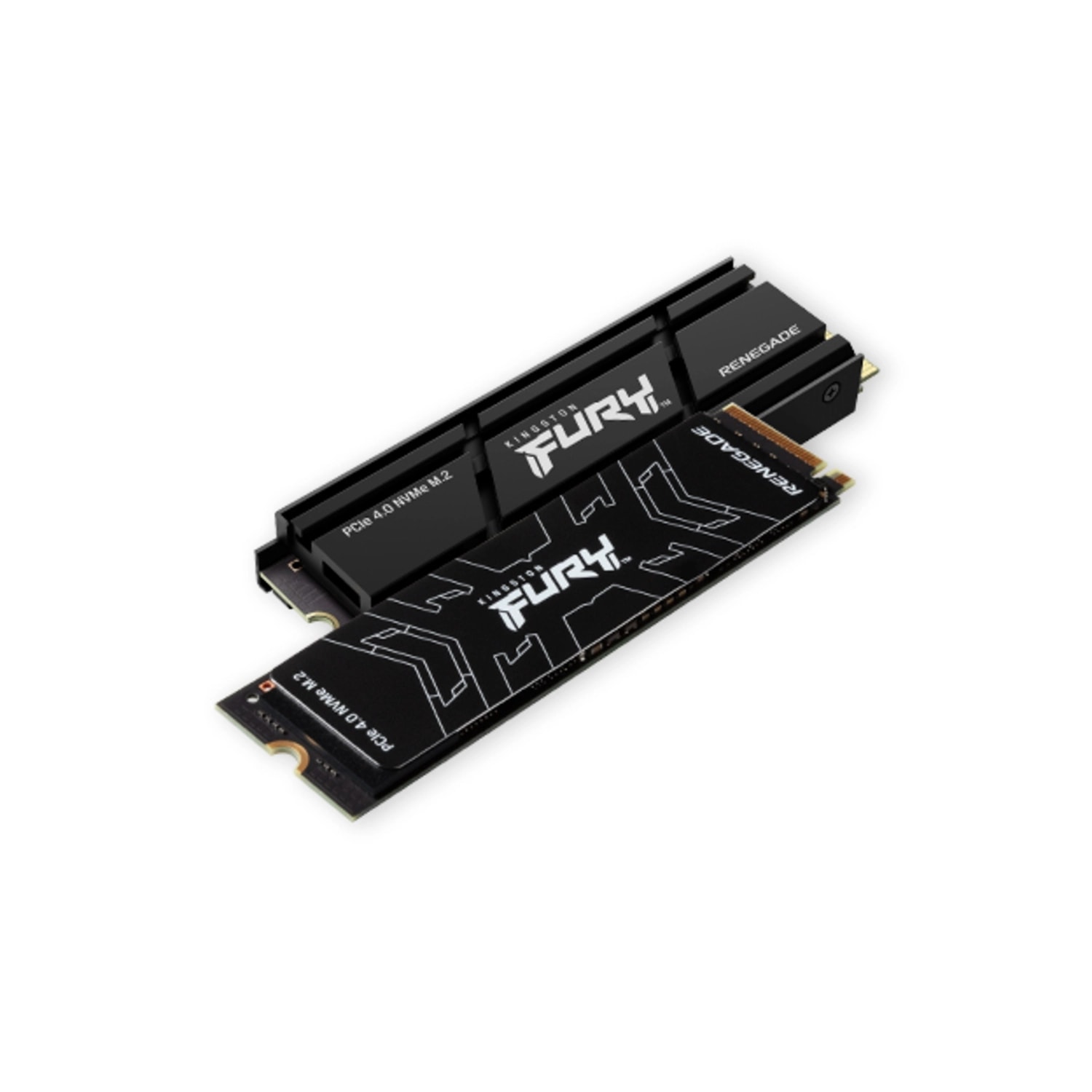 Disco SSD 1T Renegade M.2 2280 PCIe 4.0 NVMe SFYRSK/1000G