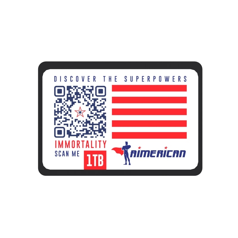 DISCO SSD AIMERICAN IMMORTALITY 1TB SATA III 6GB/S (SIMIL 960GB)