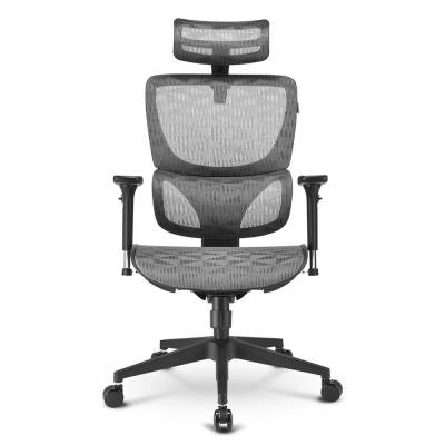 SHARKOON SILLA OFFICEPAL C30M 4044951038565