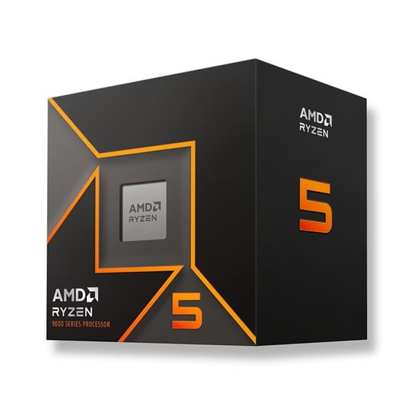 Micro Amd Ryzen 5 9600 5.2 Ghz Am5